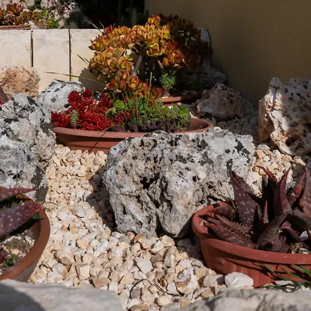 Farm stay La Goccia D'oro Palazzolo Acreide